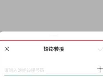oppo手机怎么设置来电转接功能第5步