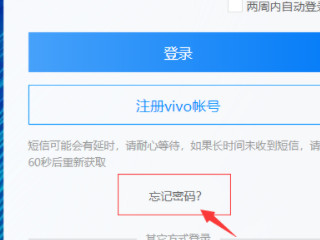 vivo官方网站找回密码第3步