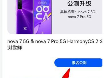 华为nova7如何升级鸿蒙系统第5步