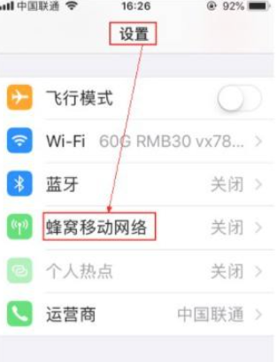 苹果ios14如何设置APN第1步